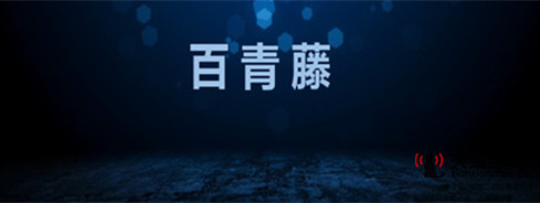 網站優化和推廣-網站做百度推廣好還是做seo優化好1
