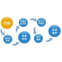 電商網站seo醫療行業網絡營銷技巧分析